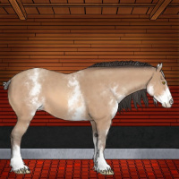 Horse Color:White Spotted Amber Champagne Sabino