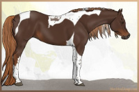 Horse Color:Gray Chestnut Tobiano 