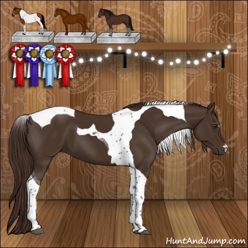 Horse Color:Liver Chestnut Tobiano 