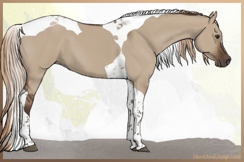 Horse Color:Liver Red Dun Tobiano 