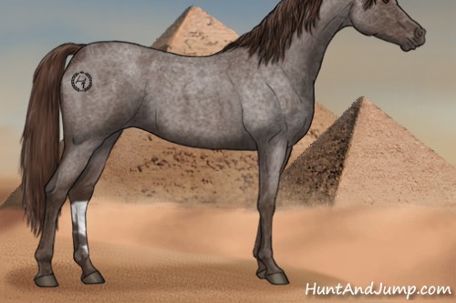 Horse Color:Liver Red Roan 
