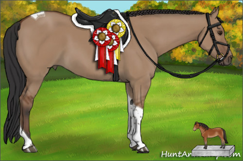 Horse Color:Bay Dun Tobiano 