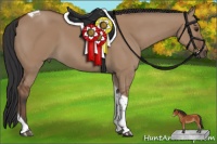 Horse Color:Bay Dun Tobiano 