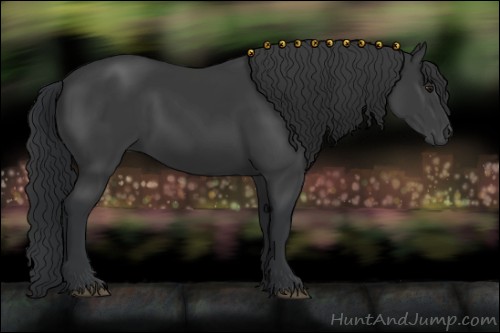 Horse Color:Black 