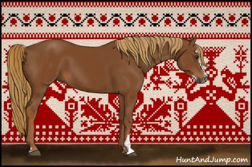 Horse Color:Gray Chestnut Sabino