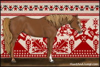 Horse Color:Gray Chestnut Sabino 