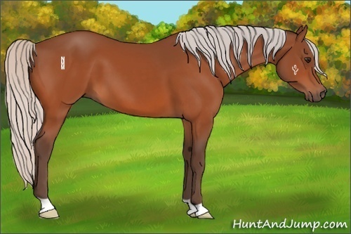 Horse Color:Silver Bay