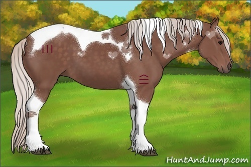 Horse Color:Chocolate Silver Black Sabino Tobiano 