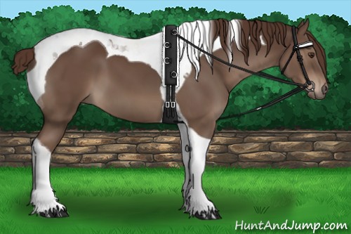 Horse Color:Liver Chestnut Tobiano 