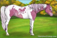 Horse Color:Watercolor Silver Brown Tobiano Appaloosa 
