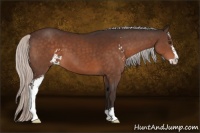 Horse Color:Silver Brown Sabino 
