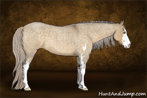 Horse Color:Silver Buckskin Roan Dun Sabino 