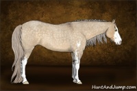 Horse Color:Silver Buckskin Roan Dun Sabino 