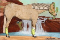 Horse Color:Palomino Roan 