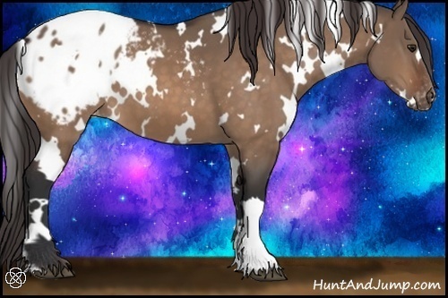 Horse Color:White Spotted Brown Dun Appaloosa 