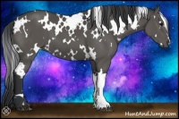 Horse Color:White Spotted Black