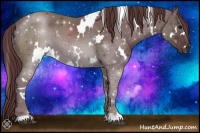 Horse Color:White Spotted Chocolate Black 