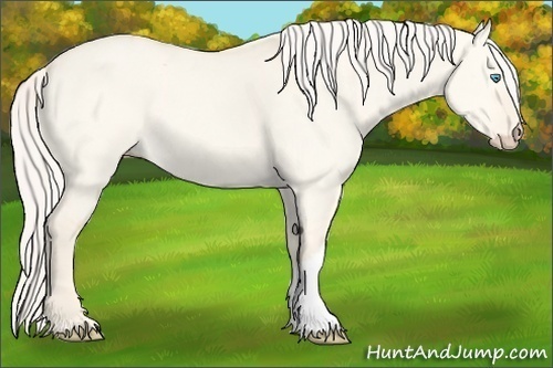Horse Color:Cremello Dun