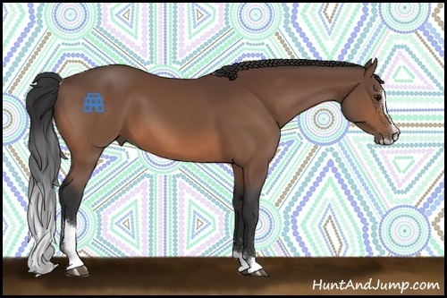 Horse Color:Bay Sabino 