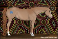 Horse Color:Chestnut Sabino