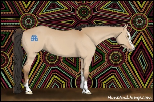 Horse Color:Bay Dun Sabino 