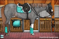 Horse Color:Liver Red Roan 