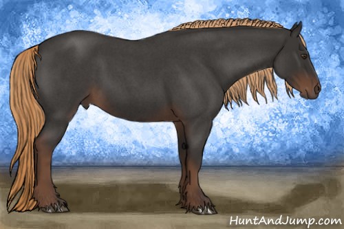 Horse Color:Liver Red Roan 