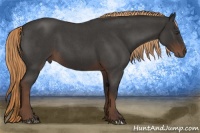 Horse Color:Liver Red Roan