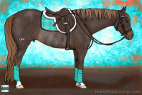 Horse Color:Liver Chestnut Rabicano 