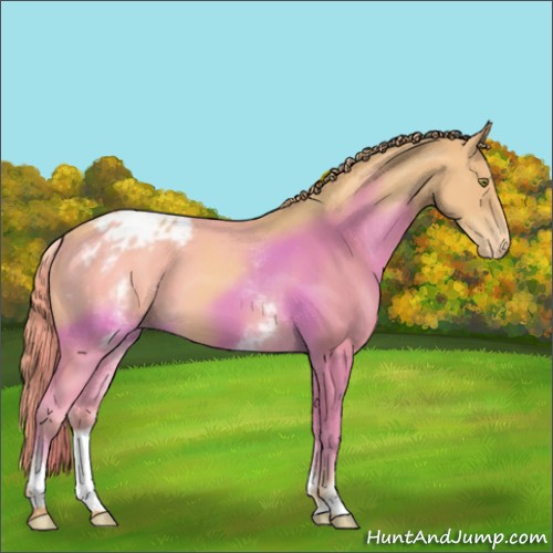 Horse Color:White Spotted Gold Champagne Varnish