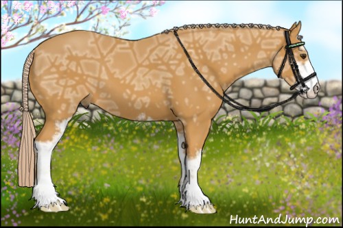 Horse Color:Palomino Ice Sabino 