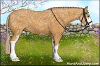 Horse Color:Palomino Ice Sabino