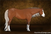 Horse Color:Silver Buckskin Sabino Splash 