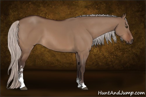 Horse Color:Silver Brown Dun Sabino 