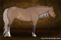 Horse Color:Silver Brown Dun Sabino 