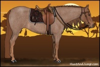 Horse Color:Red Roan