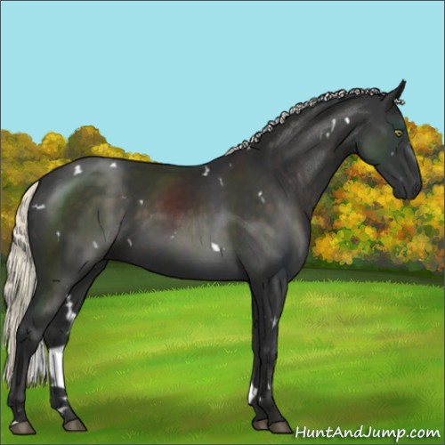 Horse Color:White Spotted Liver Chestnut Mushroom 