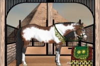 Horse Color:Brown Frame 