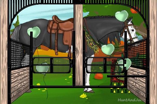 Horse Color:Black Splash 