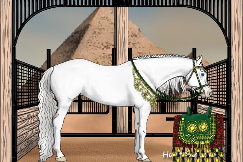 Horse Color:Cremello Sabino Splash 