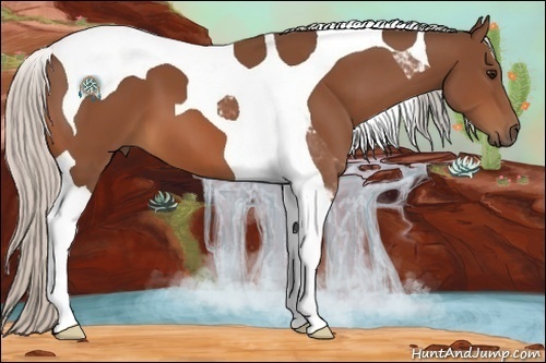 Horse Color:Silver Bay Tobiano
