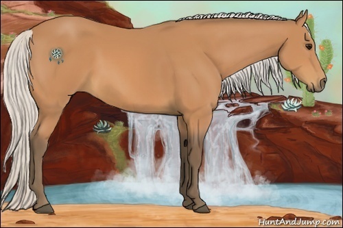 Horse Color:Silver Bay