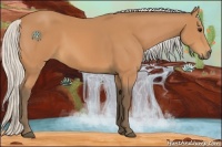 Horse Color:Silver Bay 