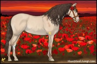 Horse Color:Amber Champagne Dun 