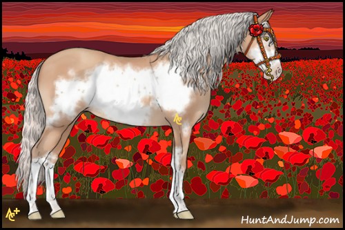 Horse Color:Silver Amber Champagne Frame 