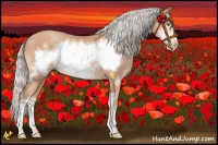 Horse Color:Silver Amber Champagne Frame 
