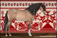Horse Color:Sable Champagne 