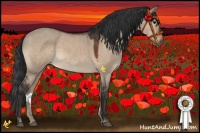 Horse Color:Brown Roan Dun 