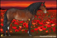 Horse Color:Brown Frame 