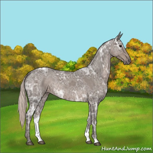 Horse Color:Silver Blue Ice Roan